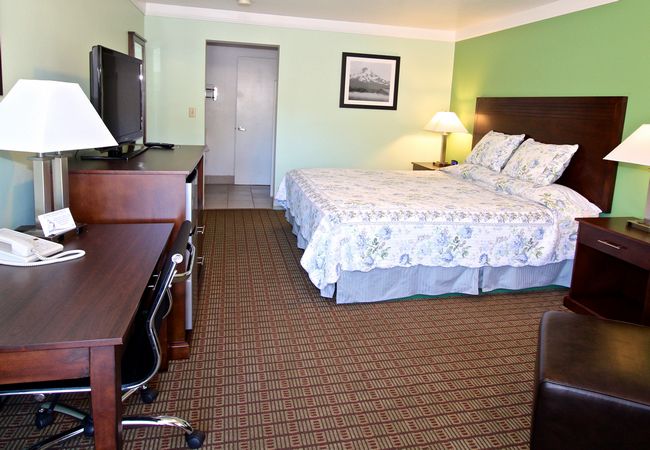 Hotel Single Bedroom