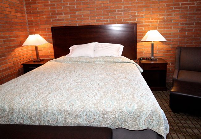 Hotel Single Bedroom