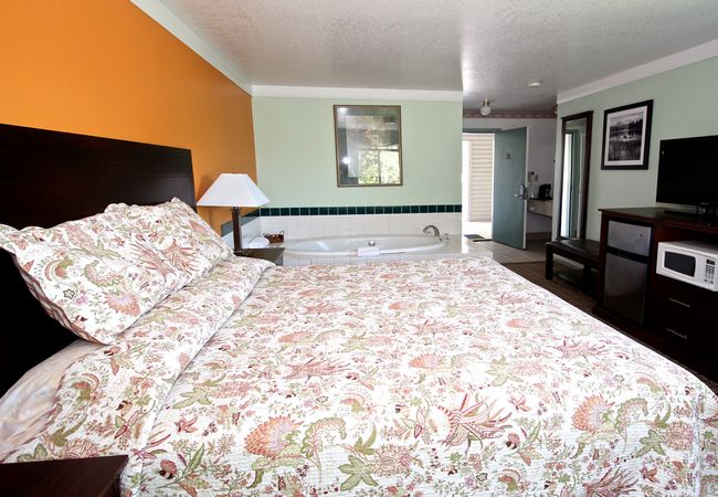 Hotel Single Bedroom