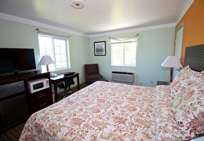 Hotel Single Bedroom
