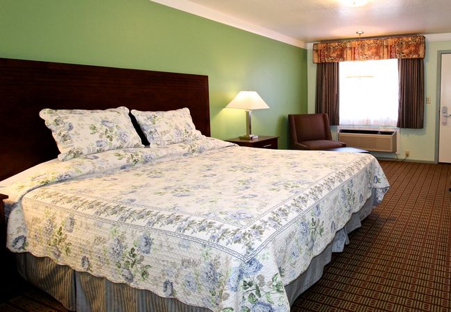 Hotel Single Bedroom