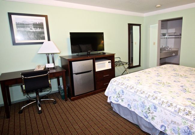 Hotel Single Bedroom