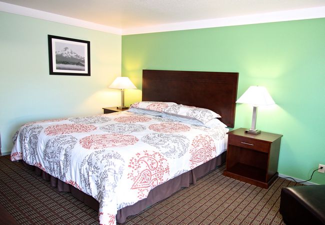 Hotel Single Bedroom