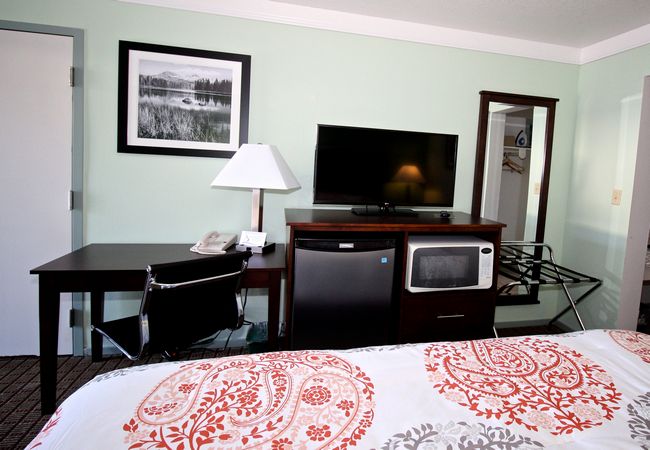 Hotel Single Bedroom