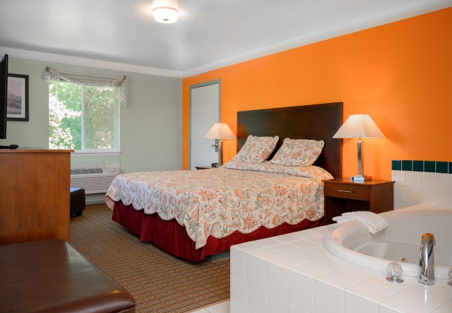 Spacious Guest Room
